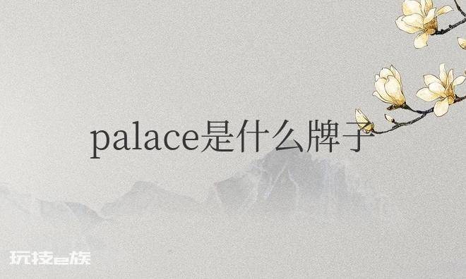 1693359361683047645.png palace是什么牌子的衣服?属于什么档次的品牌?-图片3